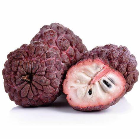 Alberello di Annona Rossa