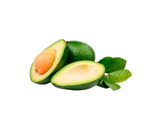 Albero di Avocado Lula