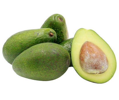 Albero di Avocado Zutano
