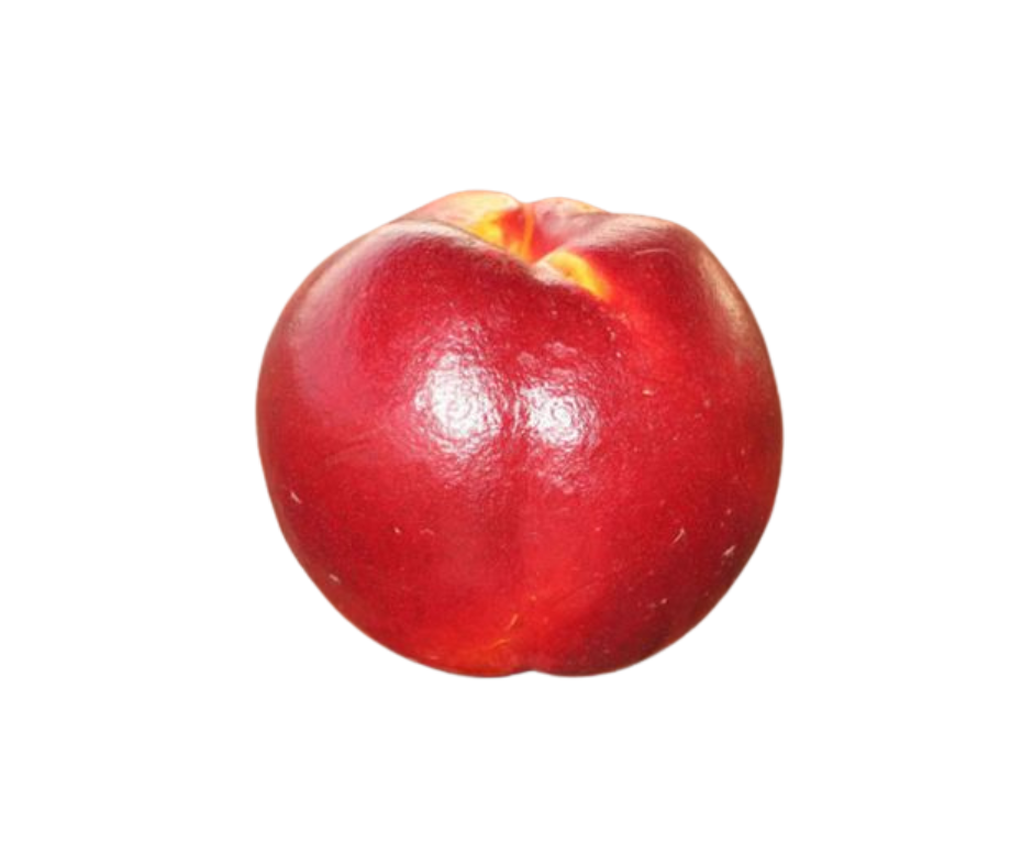 Albero di Pesco Redhaven