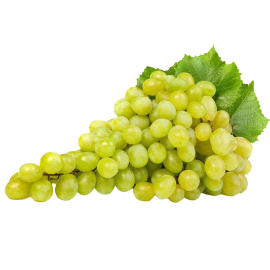 Alberello di Uva Fragola