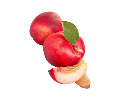 Albero di Pesconoce Caldesi 2000