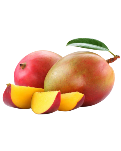 Alberello di Mango Sensaciòn