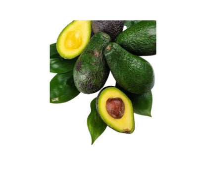 Albero di Avocado Ettinger