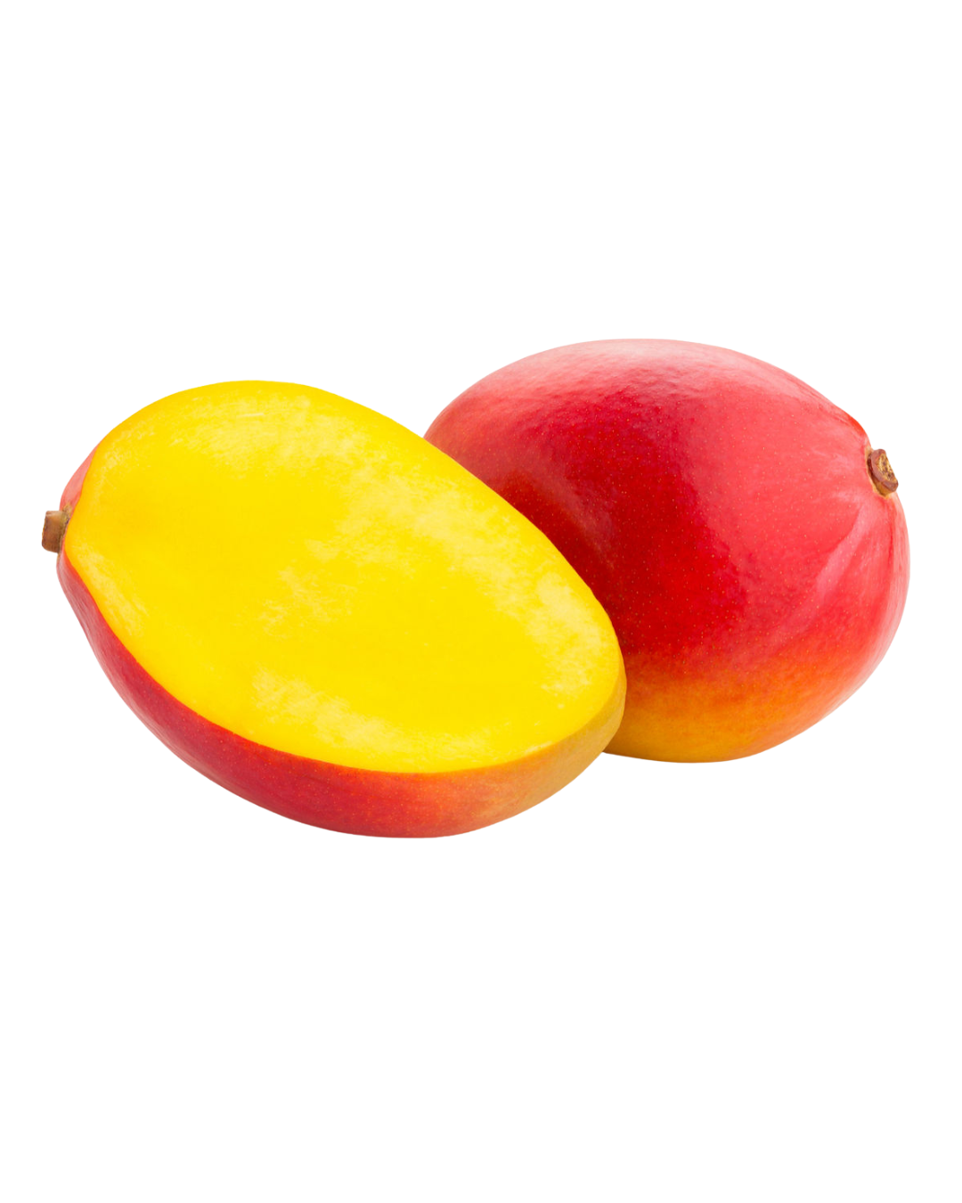 Alberello di Mango Tommy Atkins