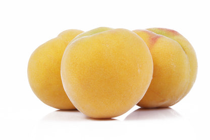 Albero di Percocca Romea