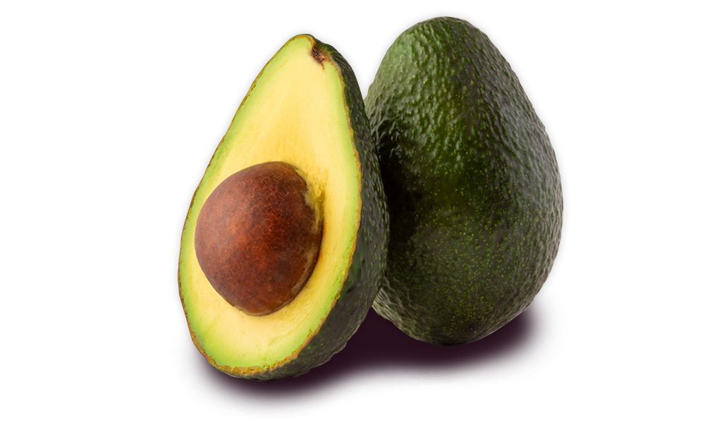 Albero di Avocado Hass