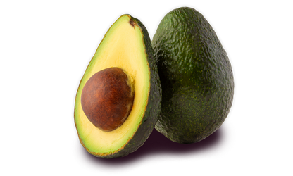 Albero di Avocado Hass