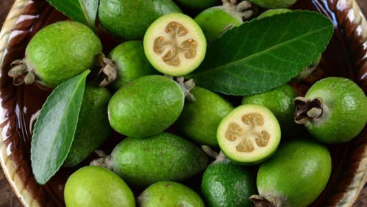 Alberello di Feijoia