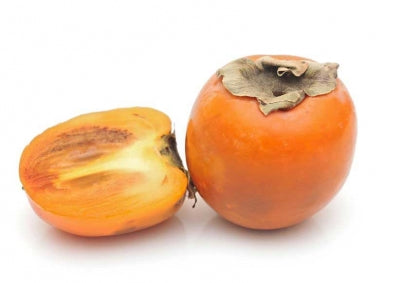 Albero di Kaki Cioccolatino