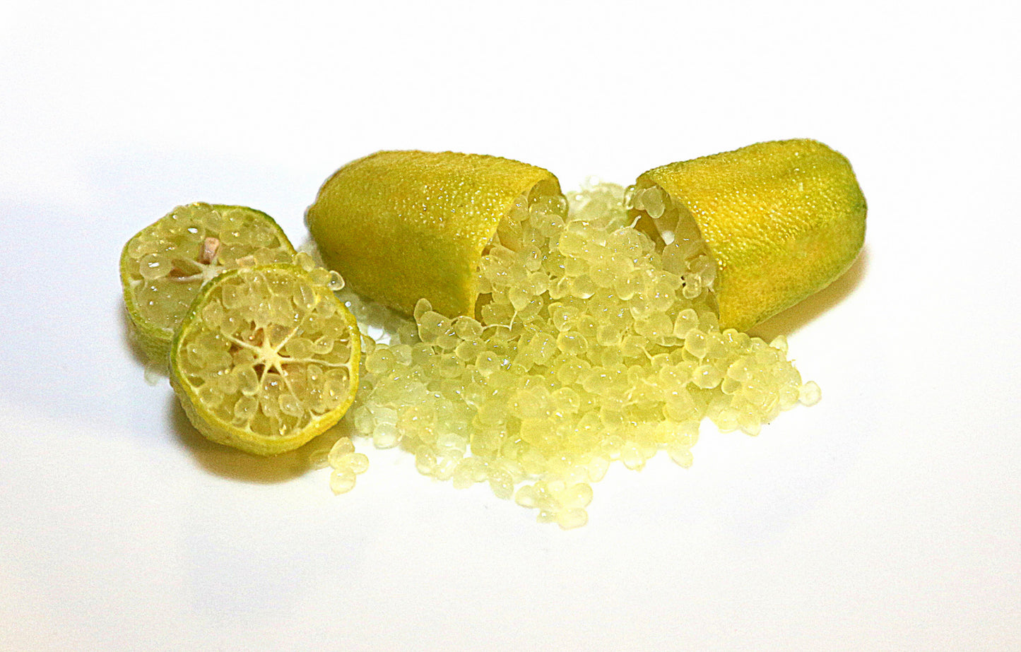 Alberello di Caviale Limone (Finger Lime)